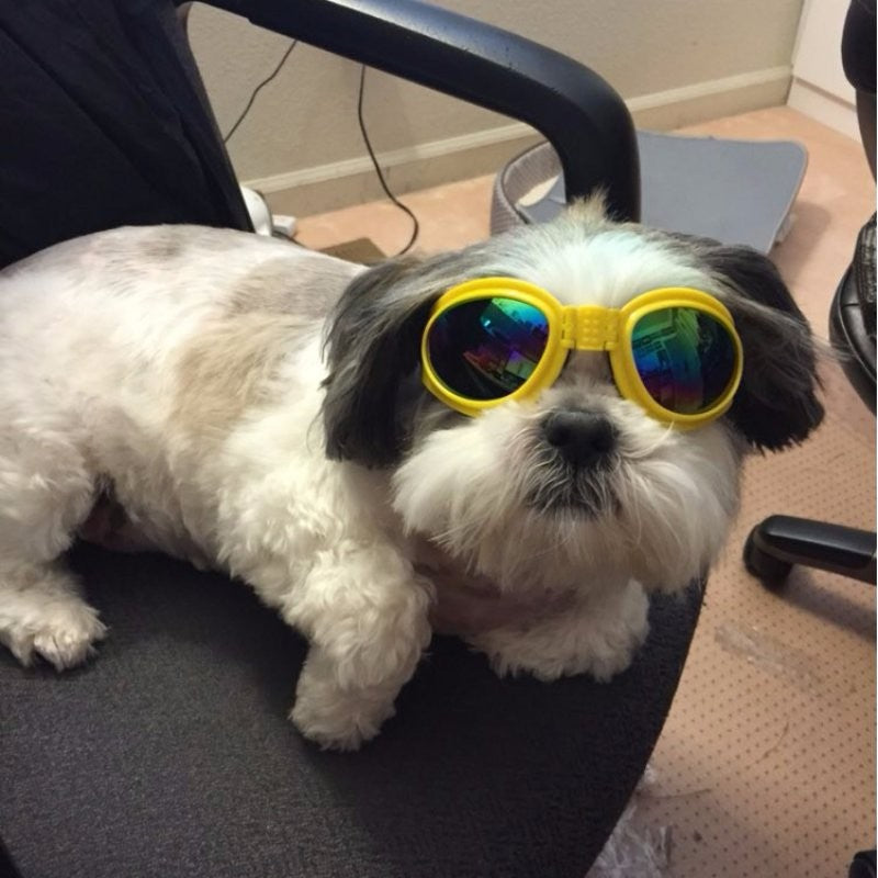 Dog Sunglasses Foldable Medium Size Waterproof Goggles UV Protection Glasses for Pets