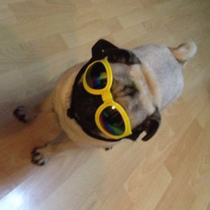 Dog Sunglasses Foldable Medium Size Waterproof Goggles UV Protection Glasses for Pets