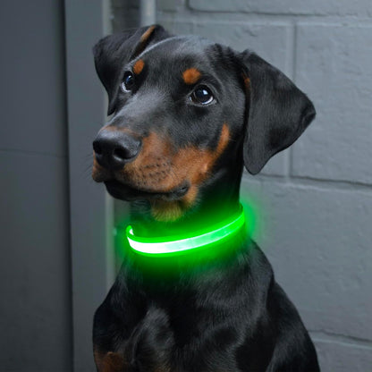 LED Dog Collar, Light up Dog Collar Adjustable USB Rechargeable Super Bright Safety Light Glowing Collars for Dog(Small,Green)